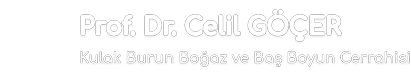 Prof. Dr. Celil Göçer